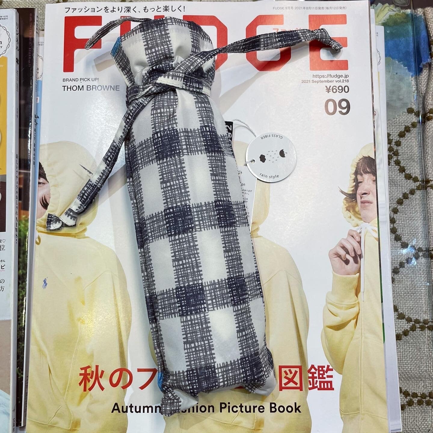 Gingham Umbrella, 2 Colors