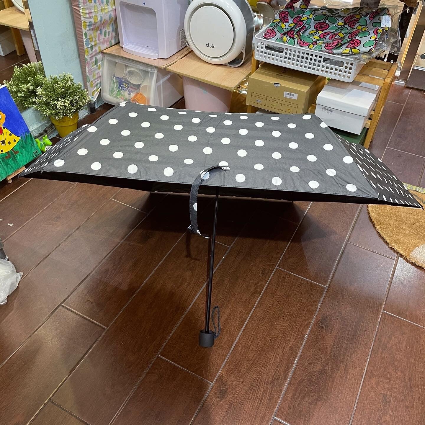 Sale- Ichi ~ Loiter Polka Black Umbrella