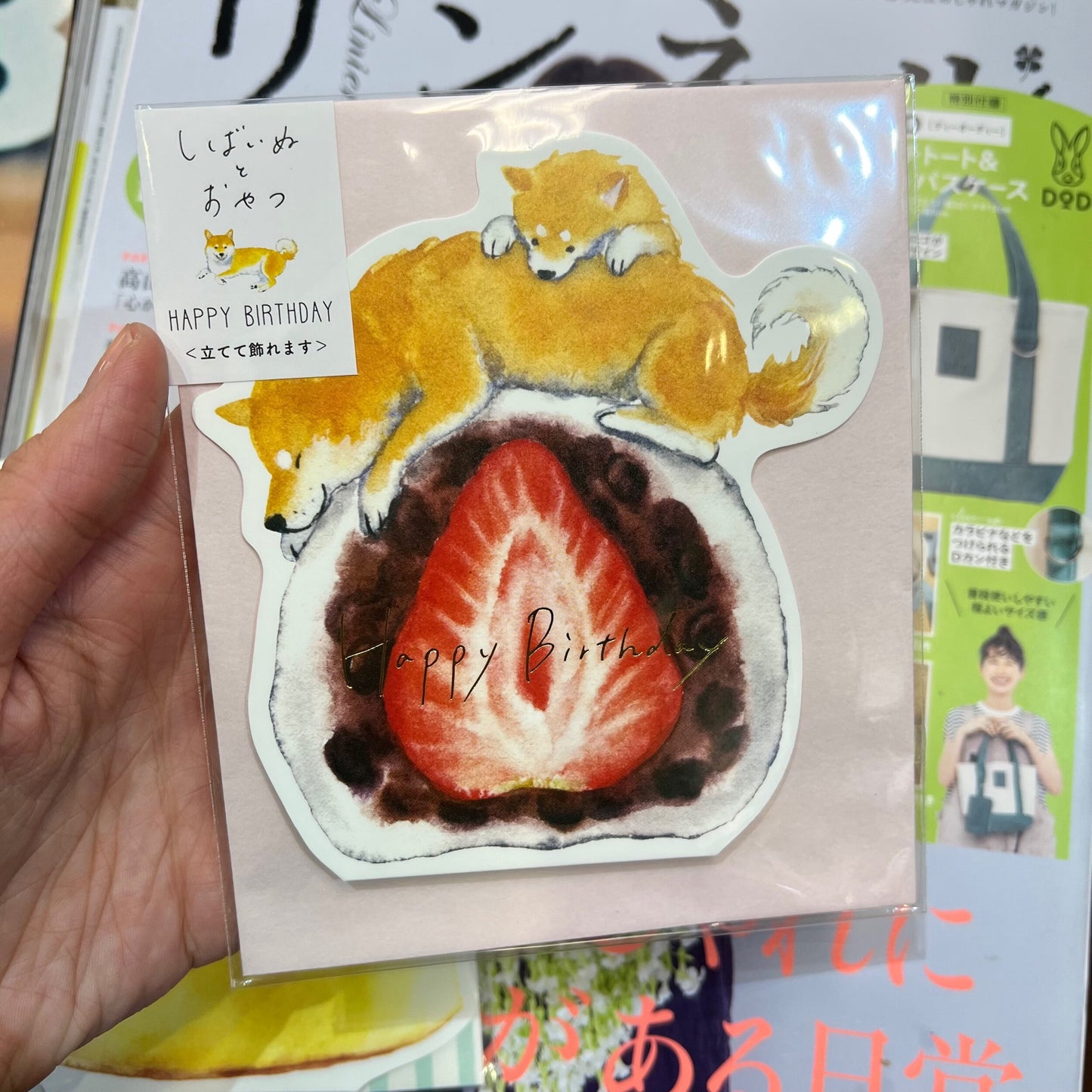 Shiba Inu Birthday Card, 2 patterns, made in Japan