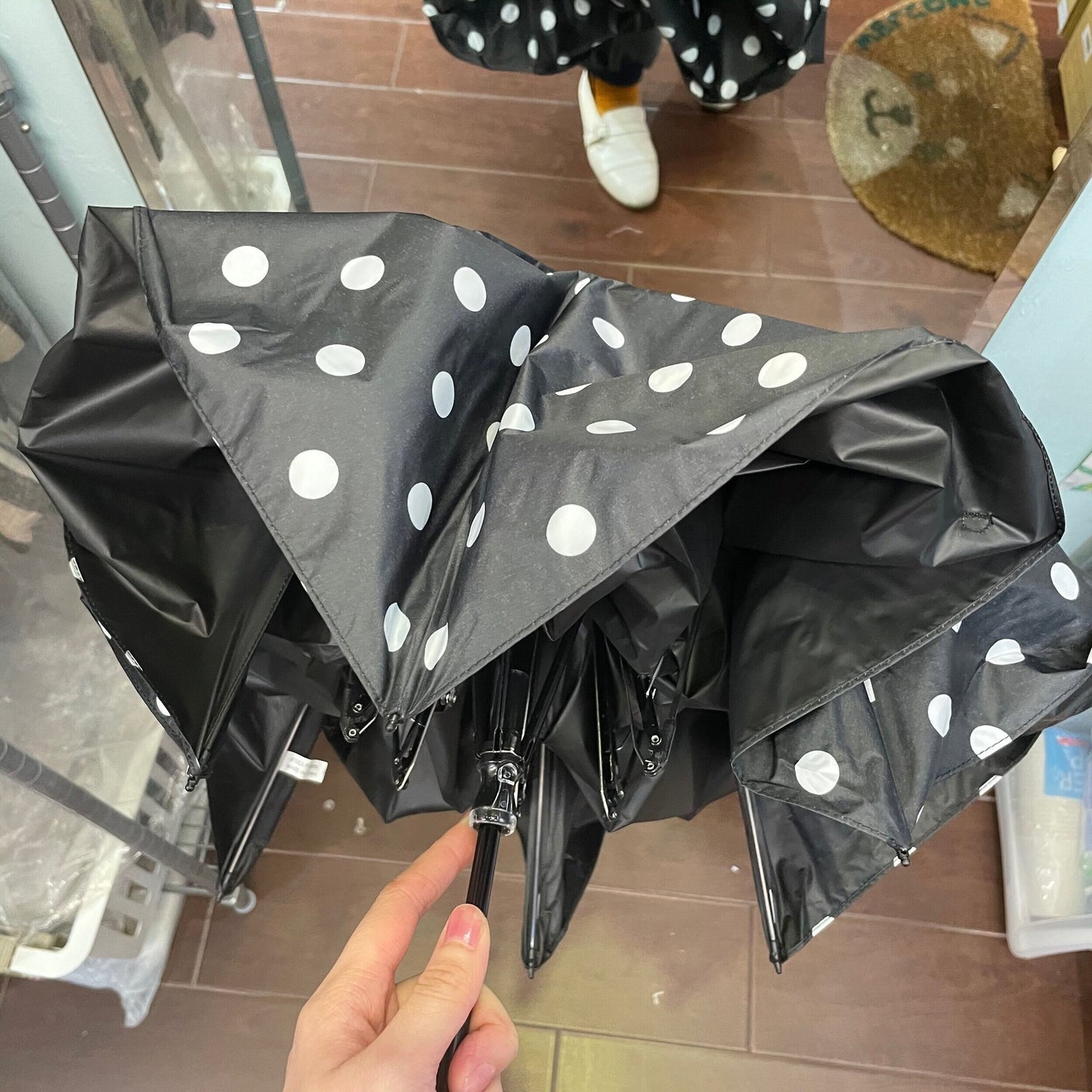 Sale- Ichi ~ Loiter Polka Black Umbrella