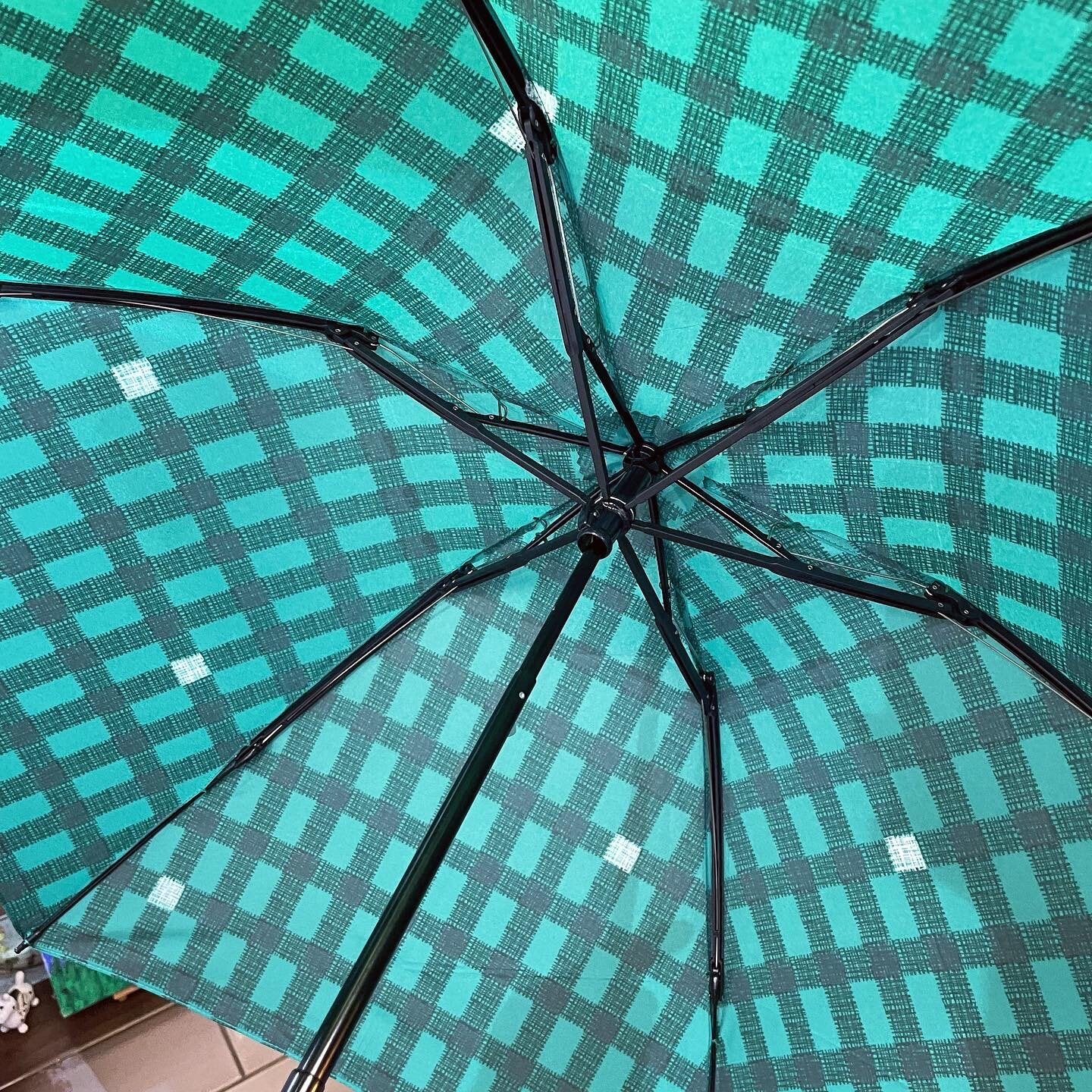 Gingham Umbrella, 2 Colors