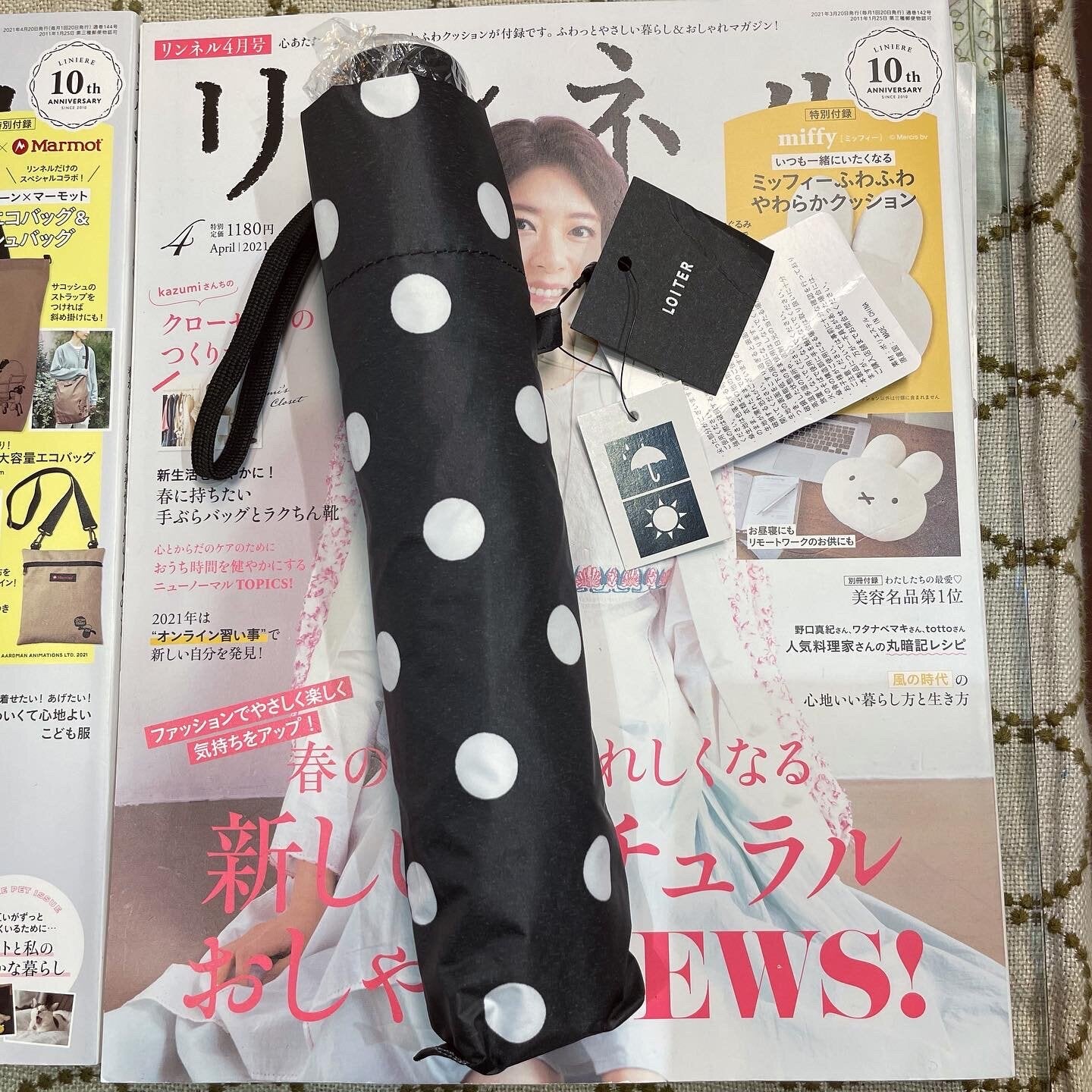 Sale- Ichi ~ Loiter Polka Black Umbrella