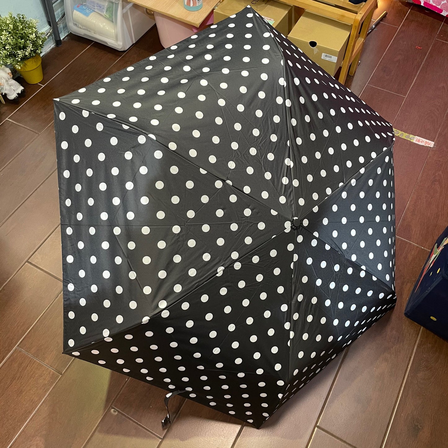 Sale- Ichi ~ Loiter Polka Black Umbrella