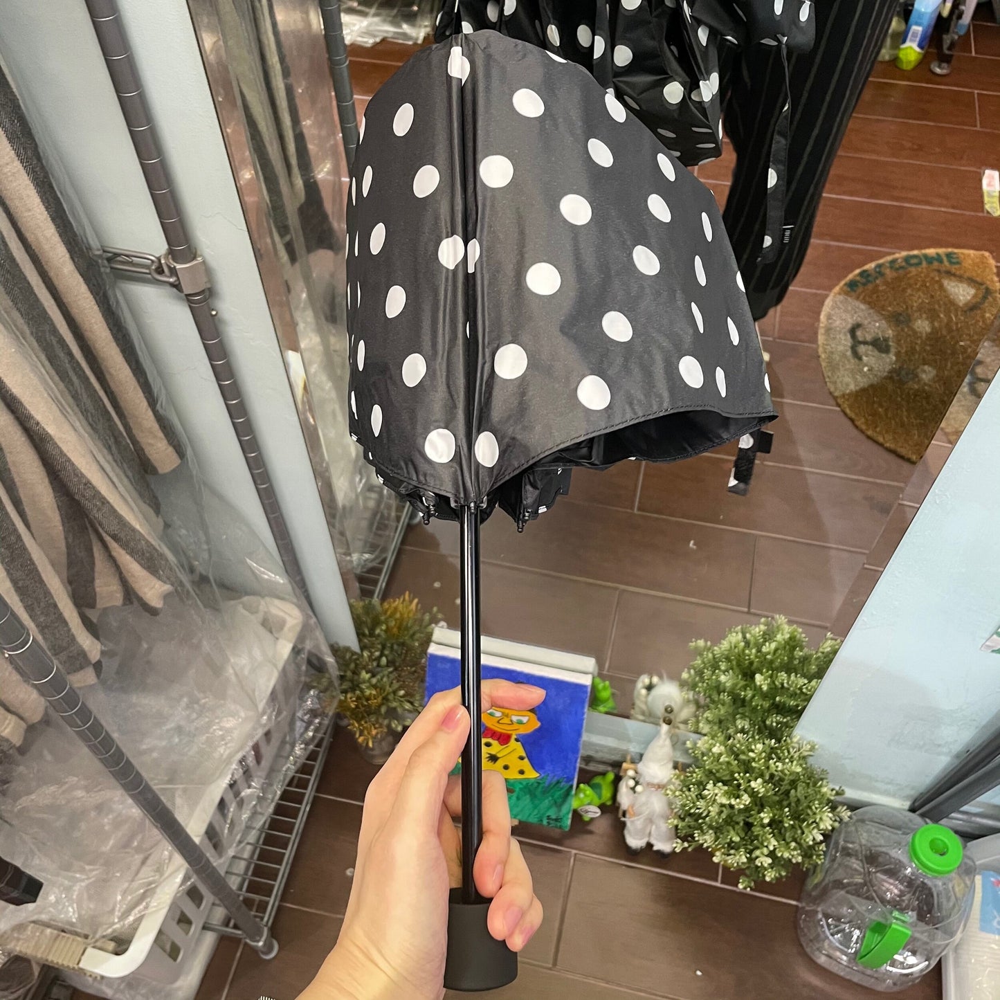Sale- Ichi ~ Loiter Polka Black Umbrella