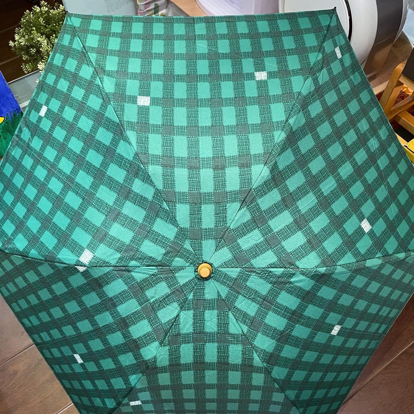 Gingham Umbrella, 2 Colors