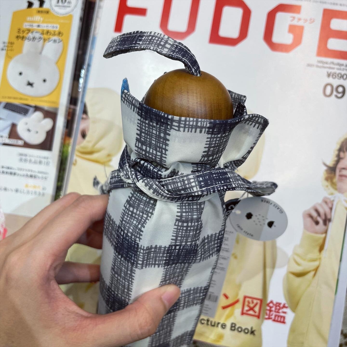 Gingham Umbrella, 2 Colors