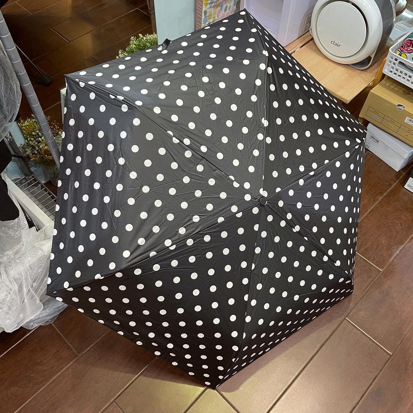 Sale- Ichi ~ Loiter Polka Black Umbrella