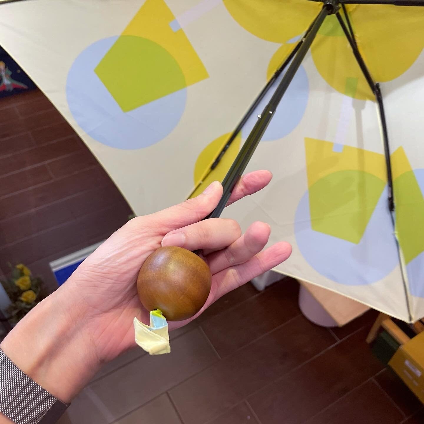 Shine Umbrella, 2 Colors
