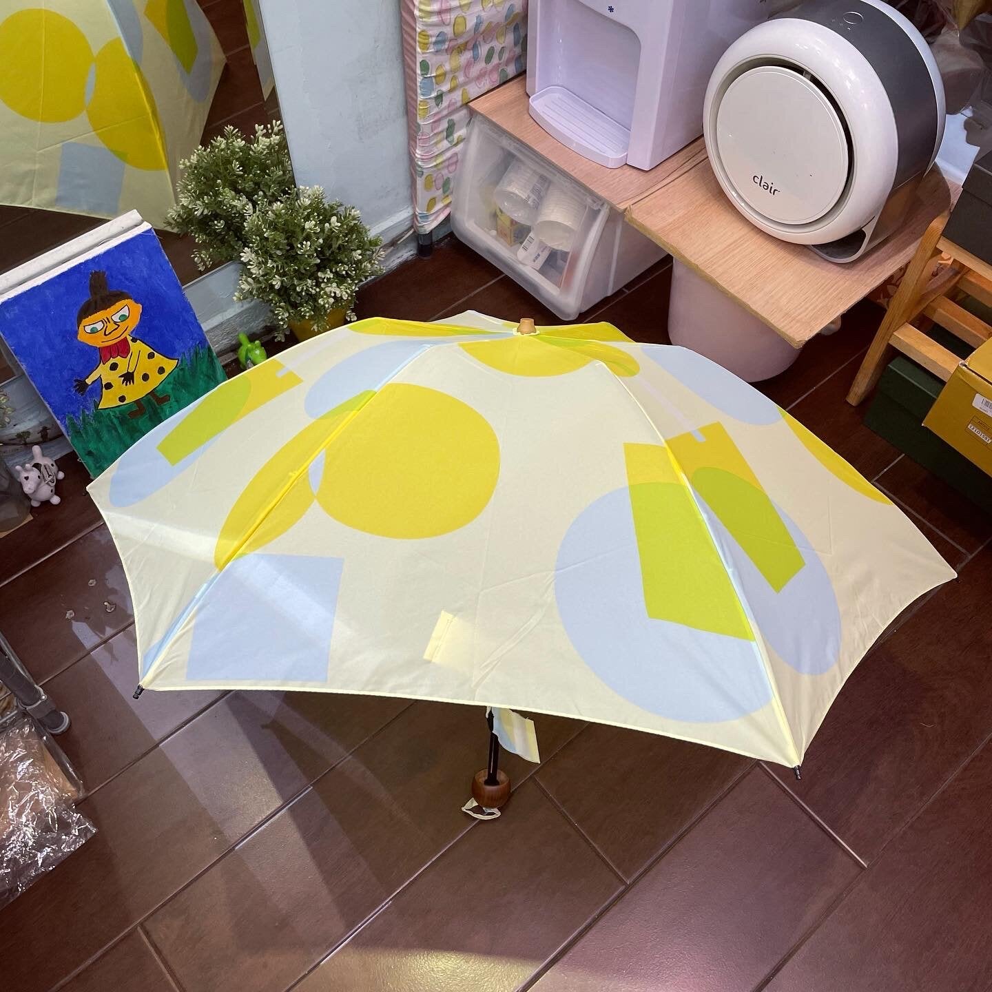 Shine Umbrella, 2 Colors