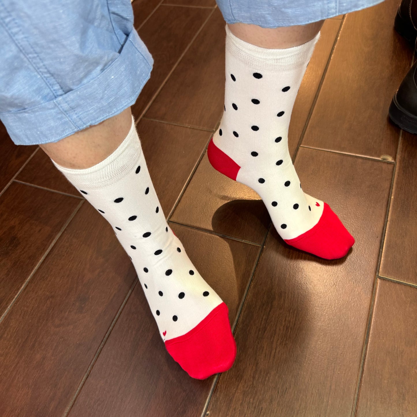 Pont de Chalons Polka Socks, 3 Colors, made in Japan