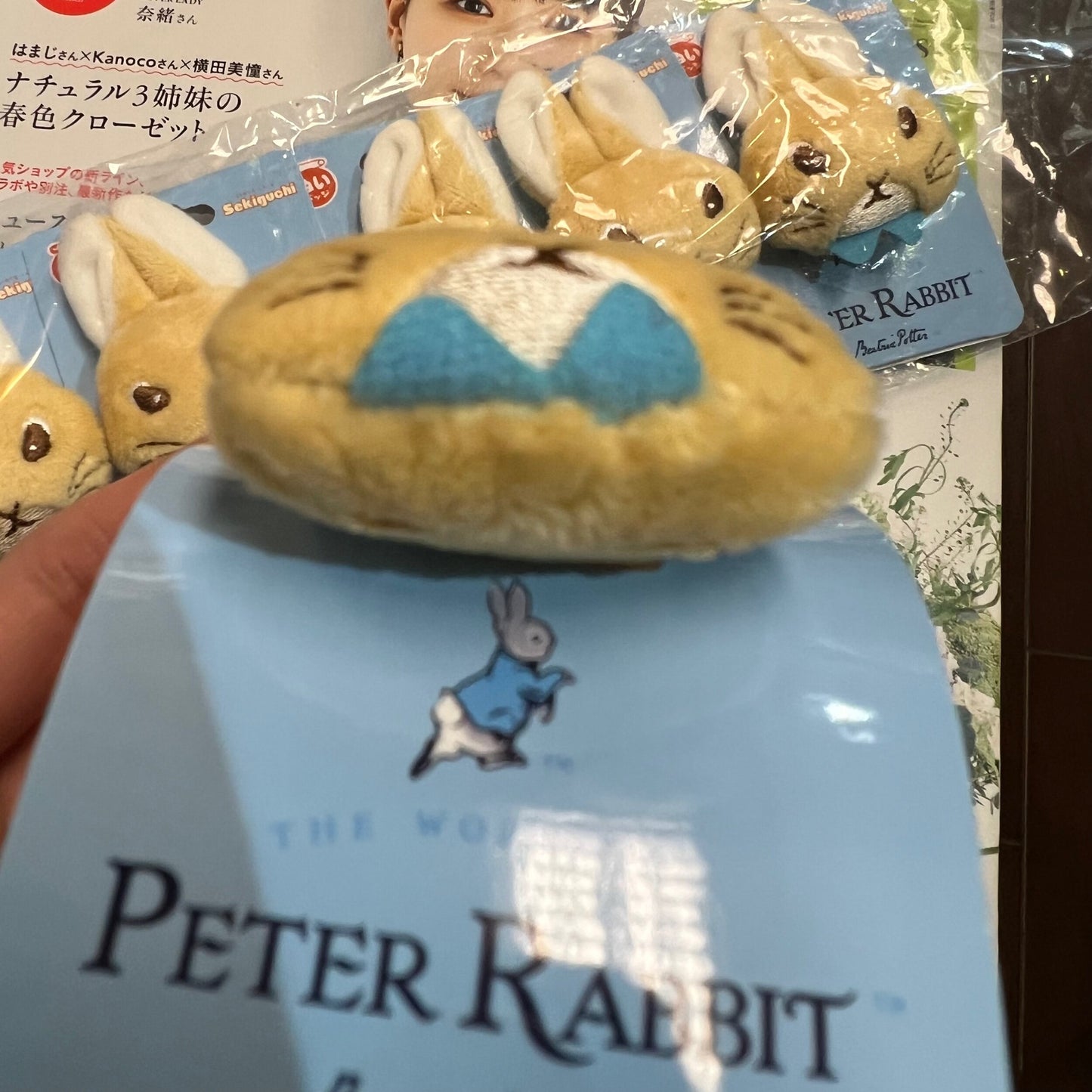 Peter Rabbit Pins, Badges