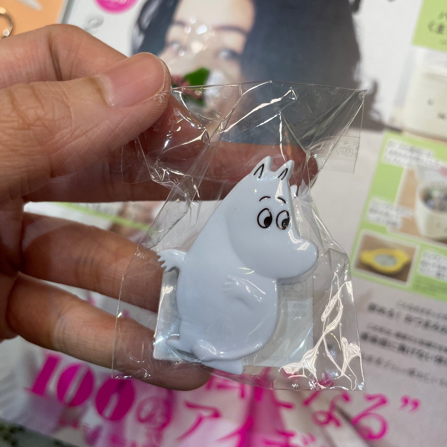 Moomin and Snufkin Clip