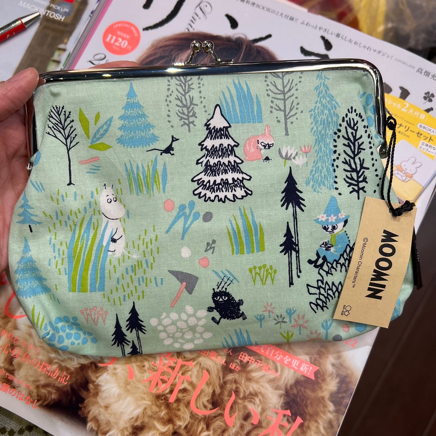 Moomin Light Green Pouch