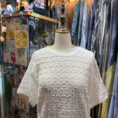 Sale- Mizuiro Ind Stretch Lace T-shirt, 2 Colors